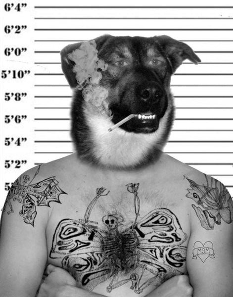 Ondřej Vyhnánek "X Dog"