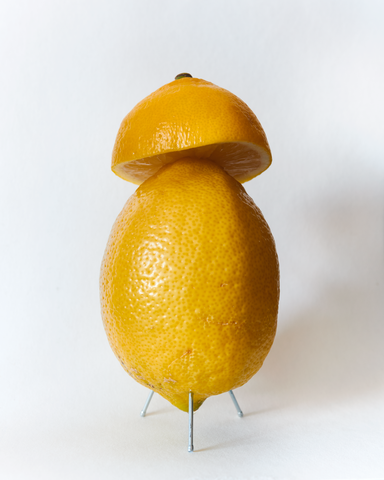 Vojtěch Veškrna – Lemon mushroom – zvětšenina, Giclée tisk – náhled