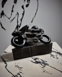 Tomáš Skála – Rider