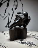 Tomáš Skála – Rider