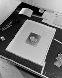 Vojtěch Veškrna – lísteček – černobílá fotografie detailu okvětního lístečku v paspartě a bílém rámu. Náhled.