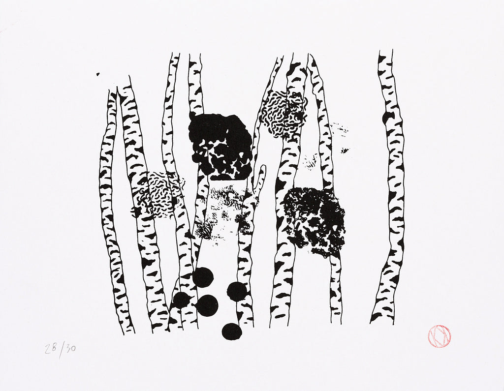 Kristina Ambrozová - Břízky