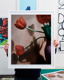 Vojtěch Veškrna – Flower series No.3 – fotografie tulipánů ve váze v bílém menším rámu. Náhled.
