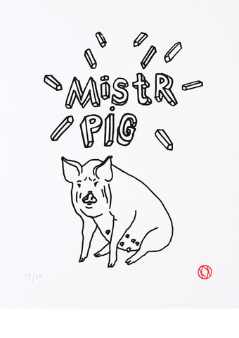 Kristina Ambrozová - Mistr pig