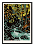Jaromír 99 – Nýznerovské vodopády – náhled v černém rámu