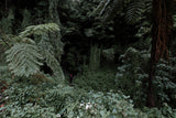 Kai Šebek – Fotografie Into the wild. Náhled