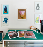 Vojtěch Veškrna – Flower series No.2 – fotografie detailu květu tulipánu v bílém rámu a menším formátu na zdi. Náhled.