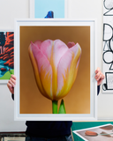 Vojtěch Veškrna – Flower series No.2 – fotografie detailu květu tulipánu v bílém rámu a menším formátu. Náhled.